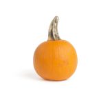 Pie Pumpkins