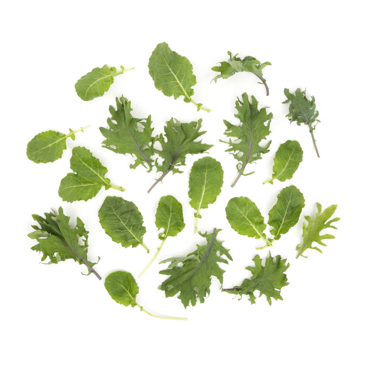 Baby Green Kale Kale Baldor Specialty Foods