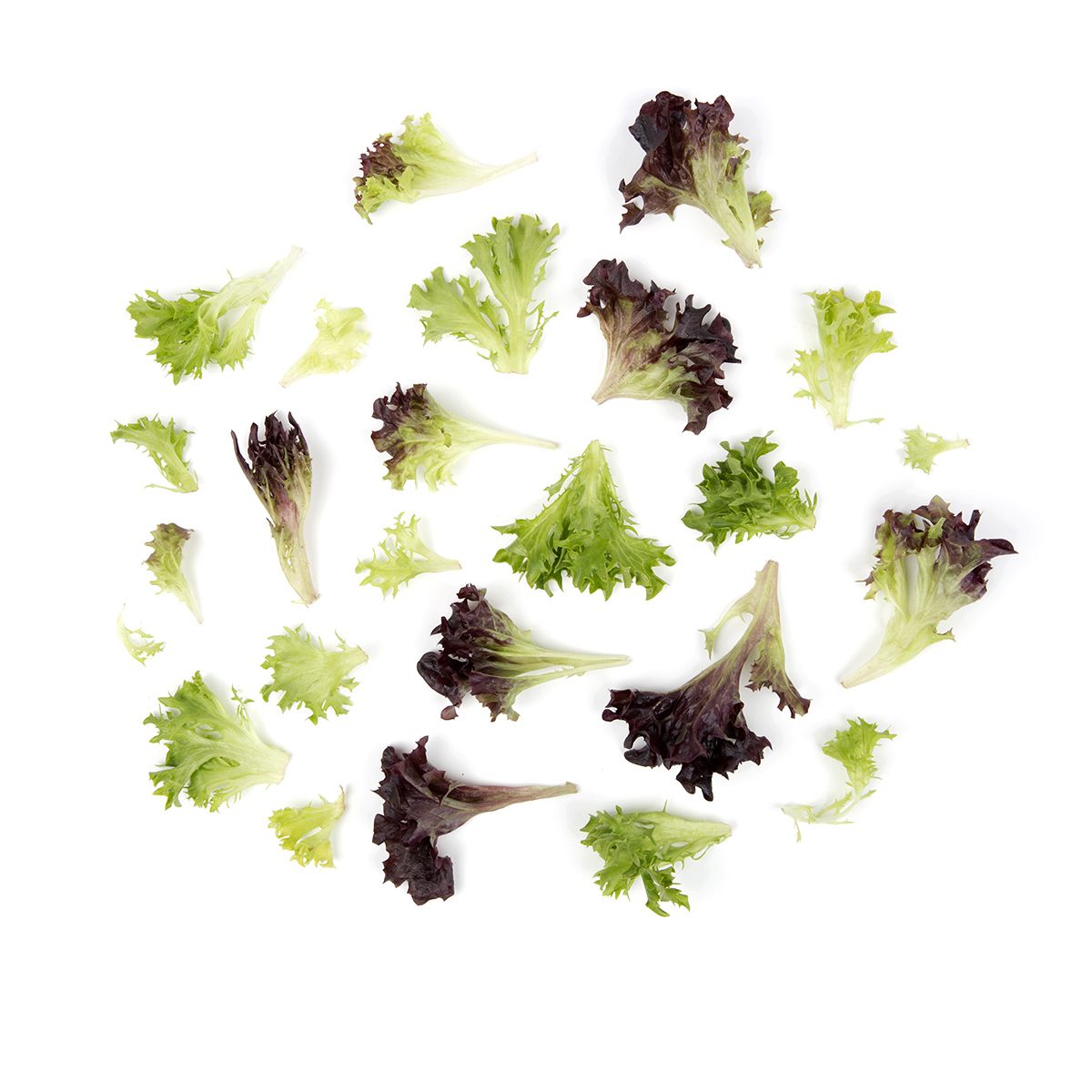 Organic Arcadian Harvest Mix Lettuce & Salad Mixes Other Baldor Specialty Foods