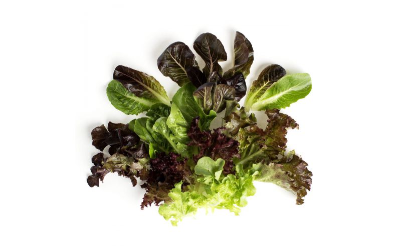 Organic Ultra Baby Lettuce Mix