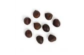 Italian AAA XL Chestnuts