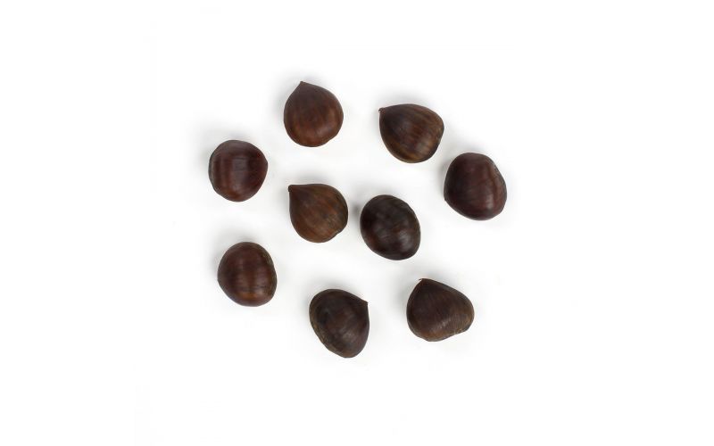 Italian AAA XL Chestnuts