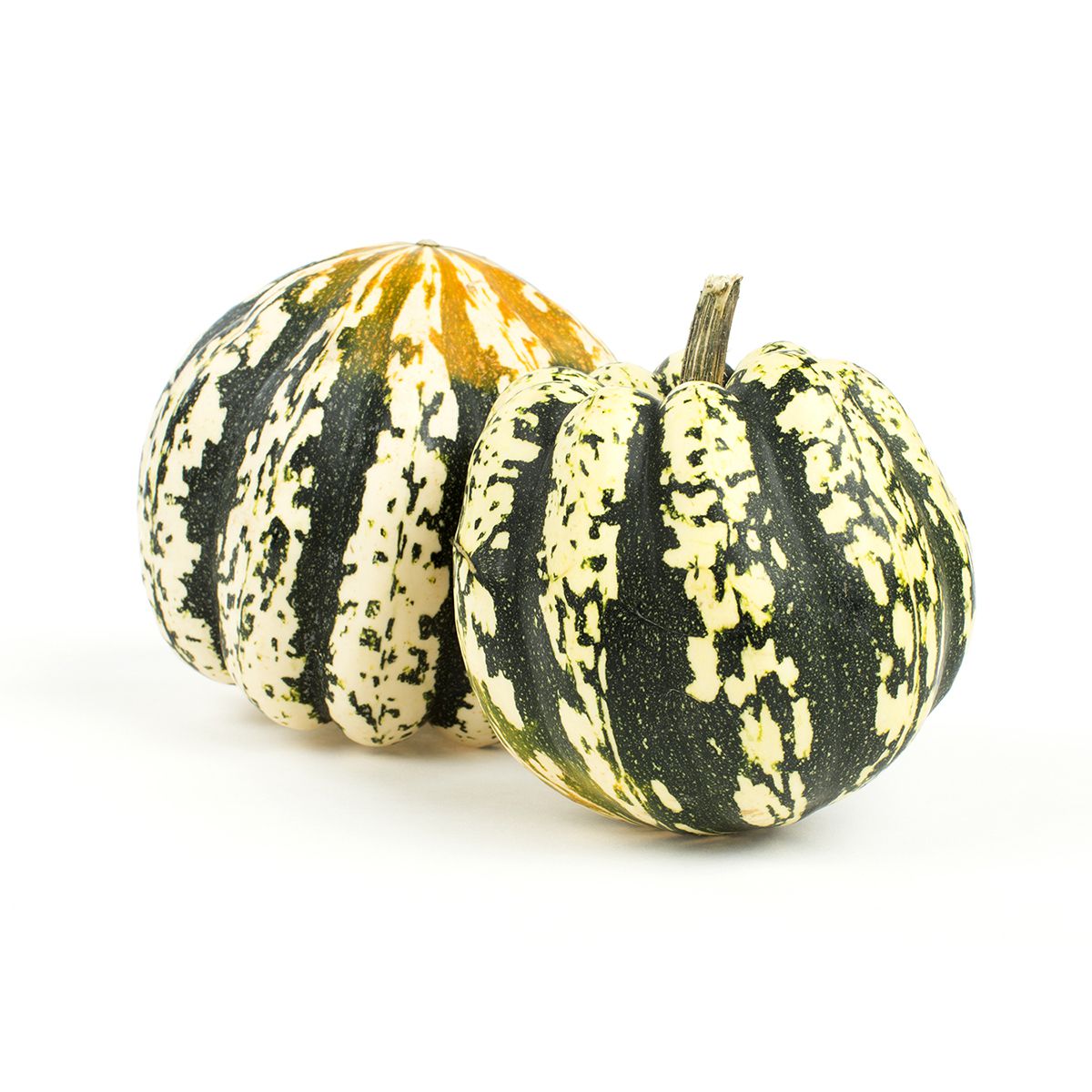 Organic Carnival Squash | Squash & Zucchini Other | Baldor Specialty Foods