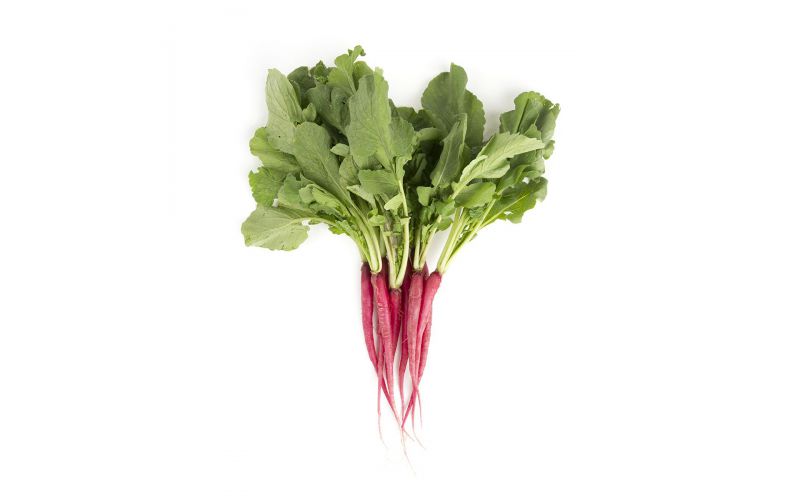 Cincinnati Radishes