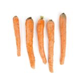 California Loose Extra Fancy Carrots