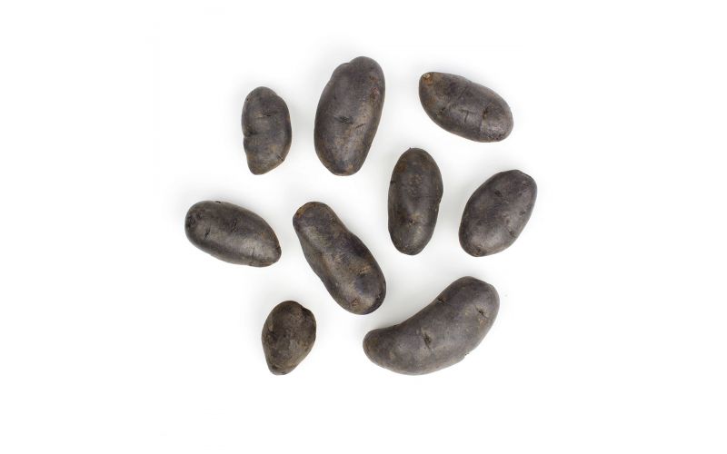 Purple Peruvian Fingerling Potato