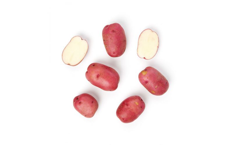 Organic Red A Potatoes