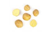 Organic Yukon Potatoes
