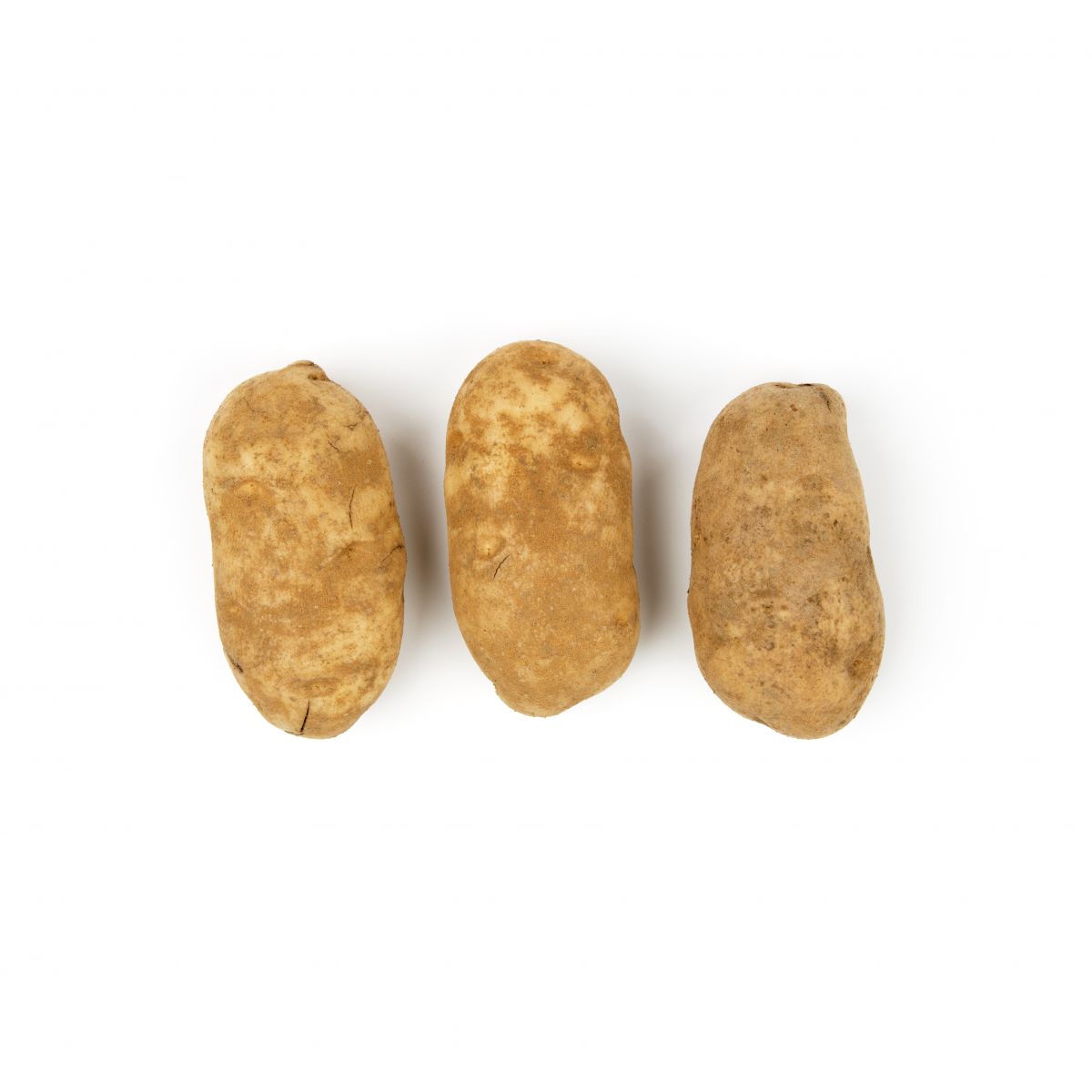 Russets 2 Bakers Potatoes Russet Potatoes Baldor Specialty Foods
