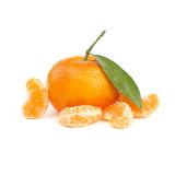 Stem & Leaf Page Mandarins