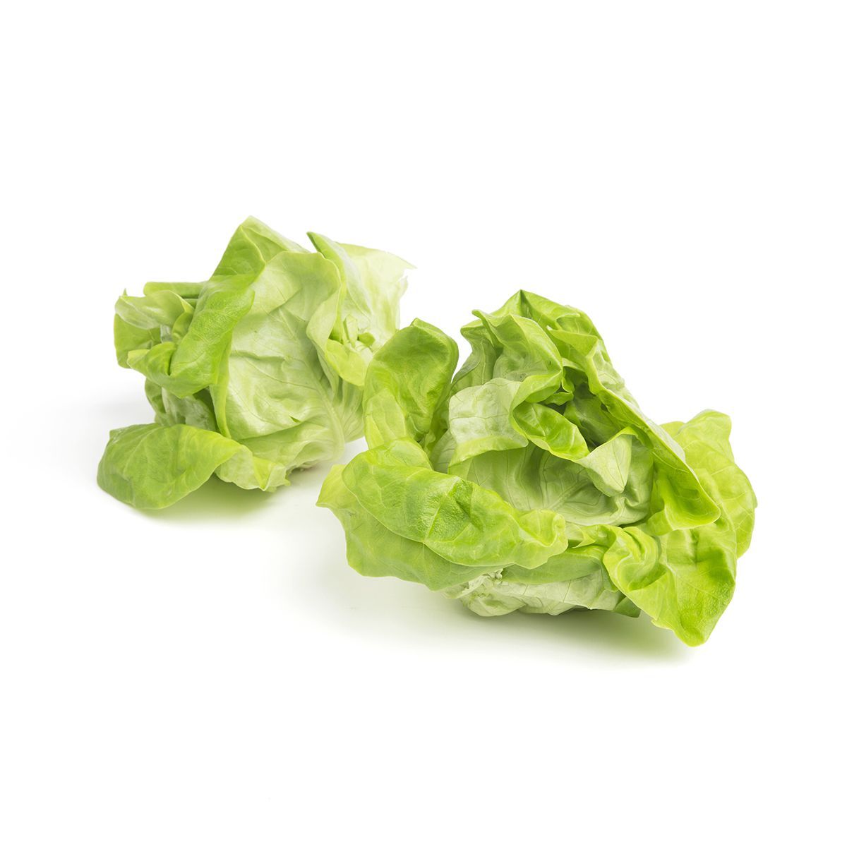 Hydro Boston Duo Clamshell Boston Lettuce Baldor Specialty Foods