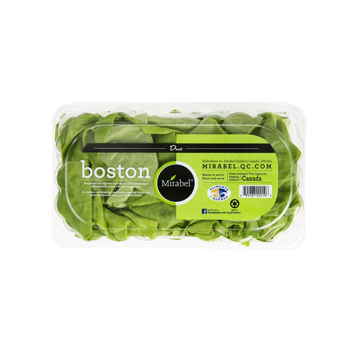 Hydro Boston Duo Clamshell Boston Lettuce Baldor Specialty Foods