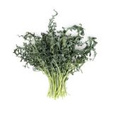 Organic Spigarello Kale