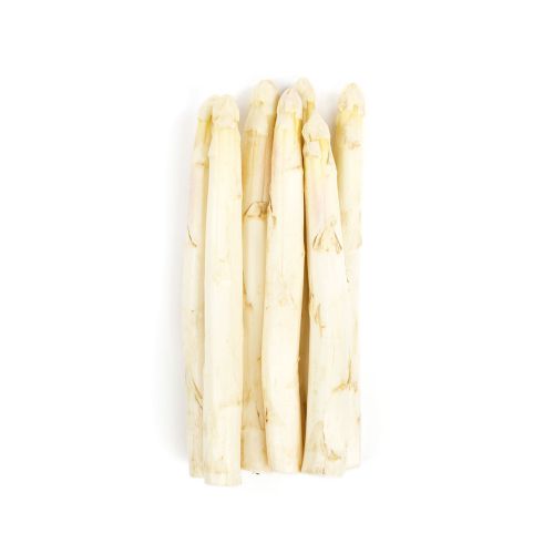 Jumbo White Dutch Asparagus AAA
