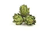 Organic Artichokes