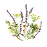 Herb Flower Mix