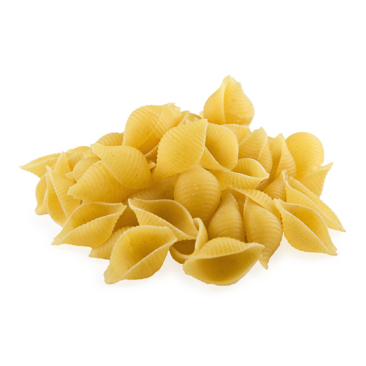 Conchiglie Rigate Nudel-Formscheibe Für Philips Pastamaker – 52 Mm, Für Geriffelte Muschelnudeln