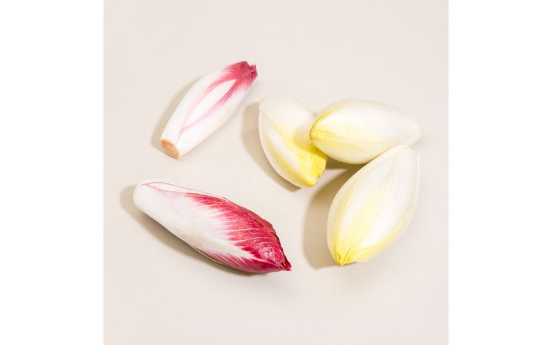 Red Endive