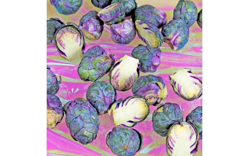Baby Purple Brussels Sprouts