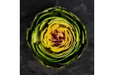 Organic Artichokes
