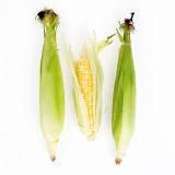 Organic Bi-Color Corn