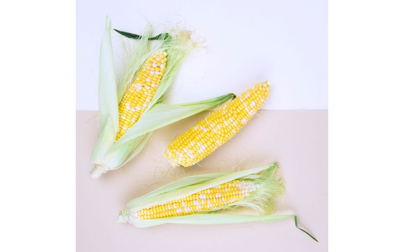 Organic Bi-Color Corn