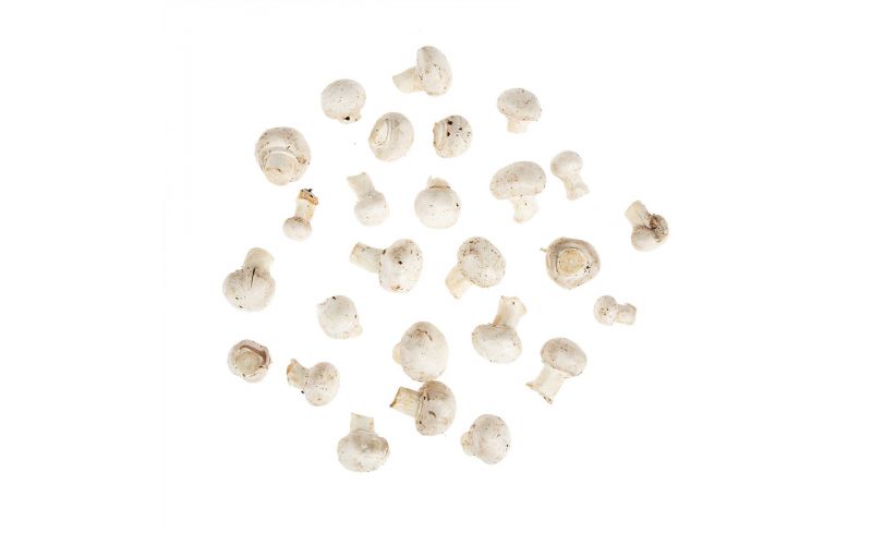#1 Grade Baby White Button Mushrooms