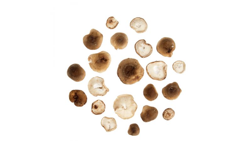 Trimmed Shiitake Mushrooms