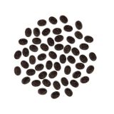 Vegan 99% Unsweetened Chocolate Drops