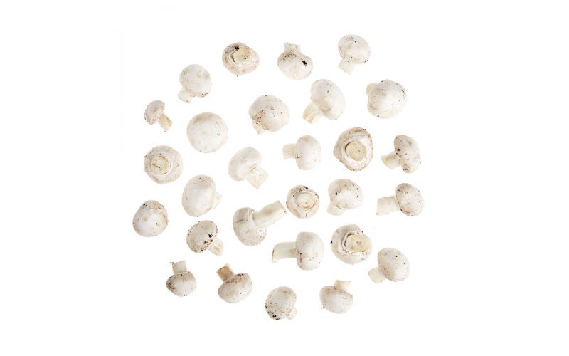 Organic Medium White Mushrooms