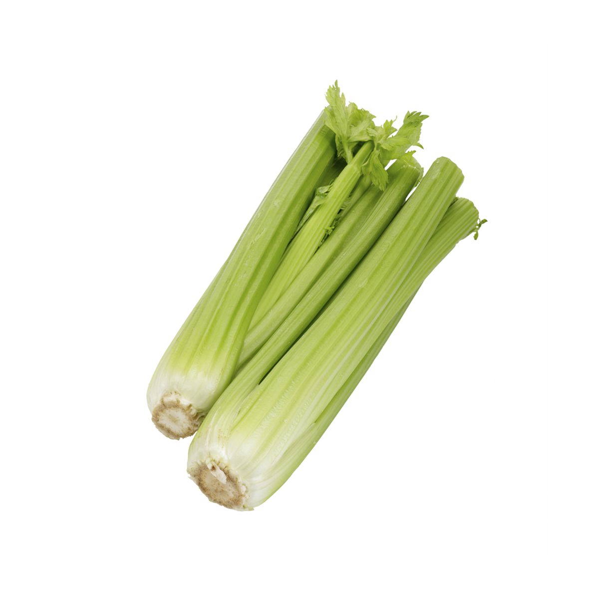 Organic Celery Hearts Celery Baldor Specialty Foods