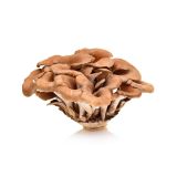 Organic Maitake / Hen of the Woods Mushrooms