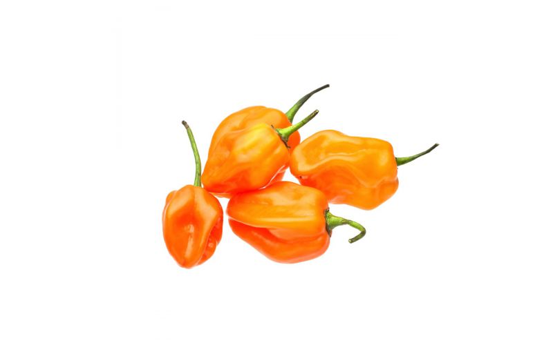 Orange Habanero Peppers