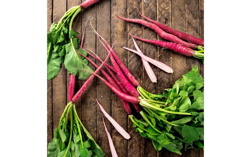 Cincinnati Radishes