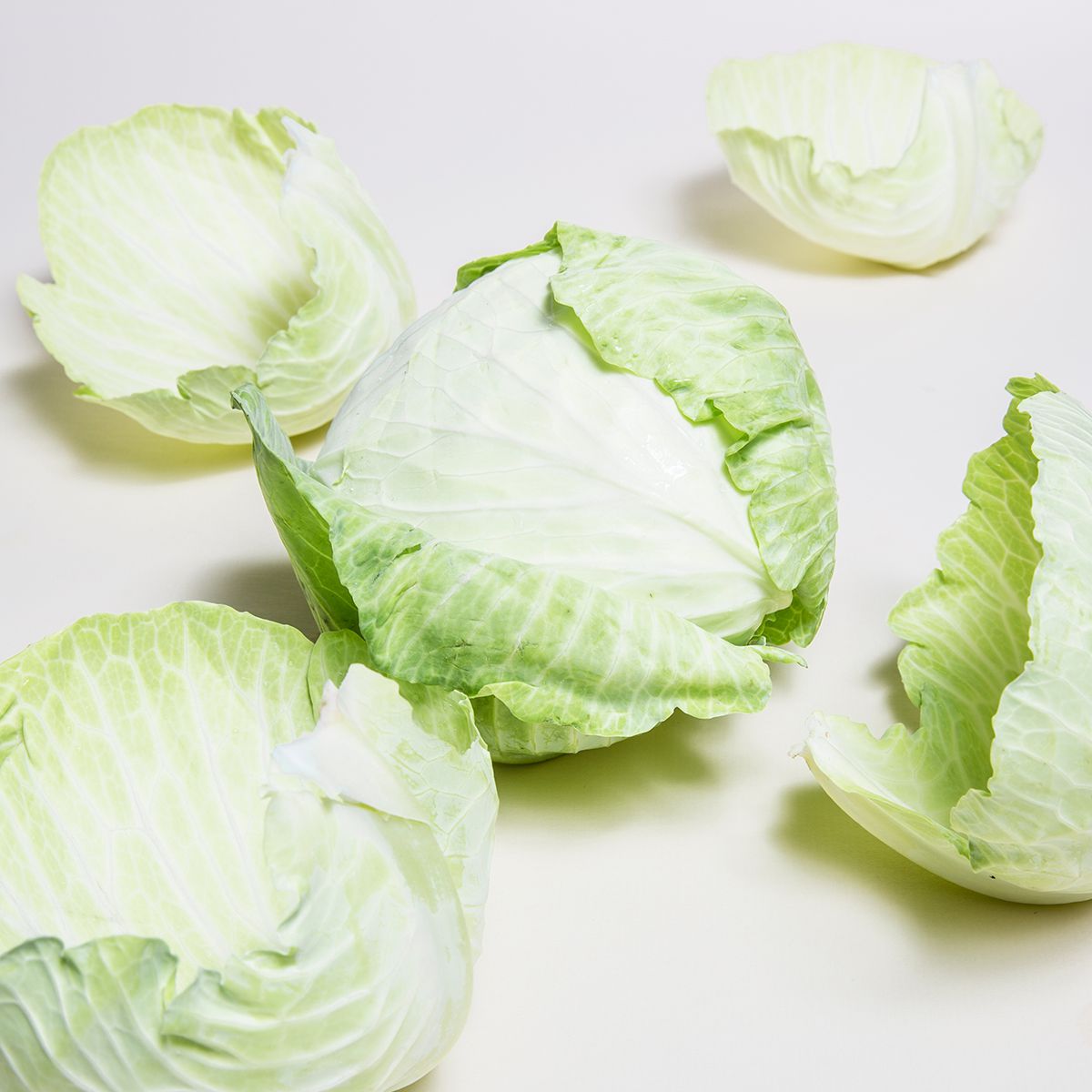 Green Cabbage Green Cabbage Baldor Specialty Foods
