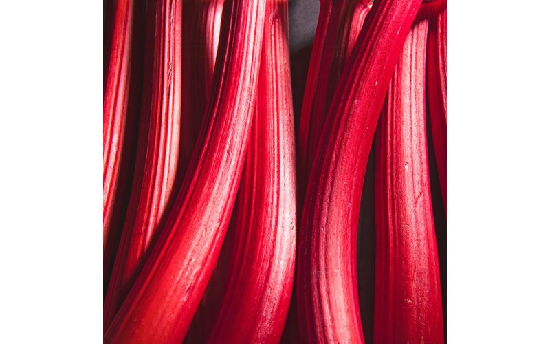 Rhubarb