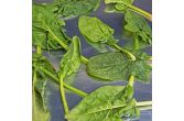 Organic Triple Washed Spinach