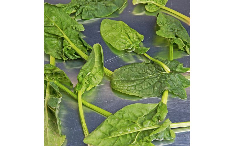 Triple Washed Spinach