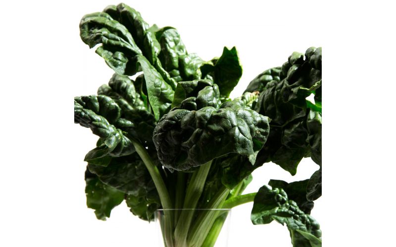 Organic Bunched Spinach
