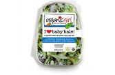 Baby Kale