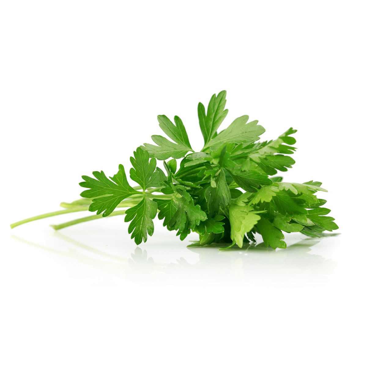 Italian Parsley Parsley Baldor Specialty Foods