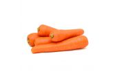 Organic Juicing Carrots