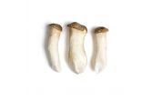 King Oyster Mushrooms
