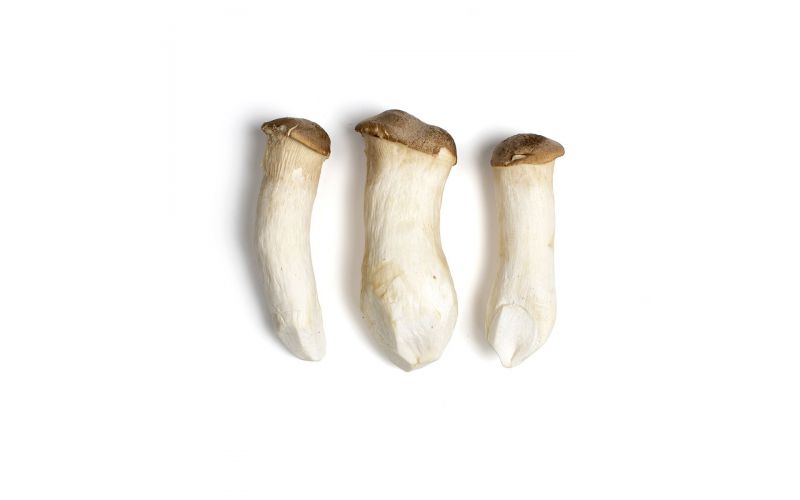 King Oyster Mushrooms