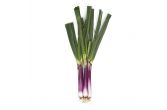 Organic Red Spring Onions
