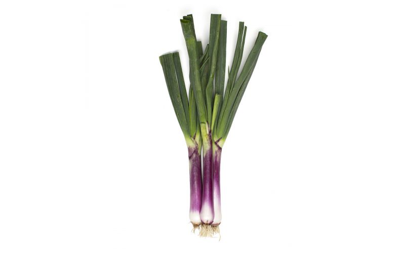 Organic Red Spring Onions