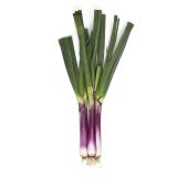Organic Red Spring Onions