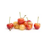 Organic Rainier Cherries