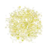1/2" Diced Fennel