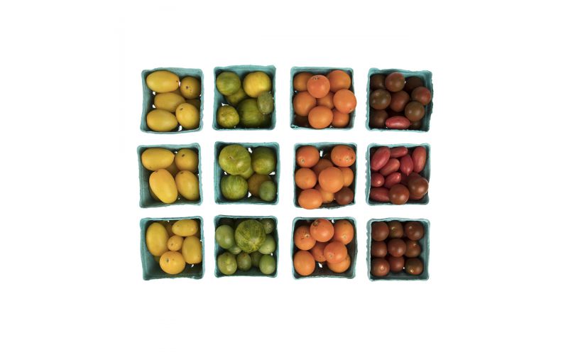 Organic Jewel Box Tomatoes